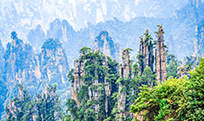 驢妹妹旅行照片