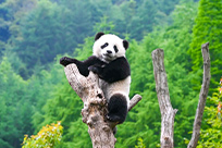 驢妹妹旅行照片