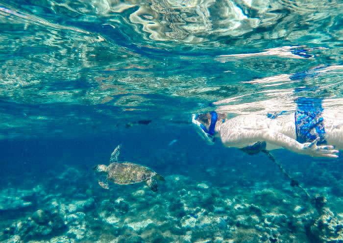 dumaguete-apo-island4